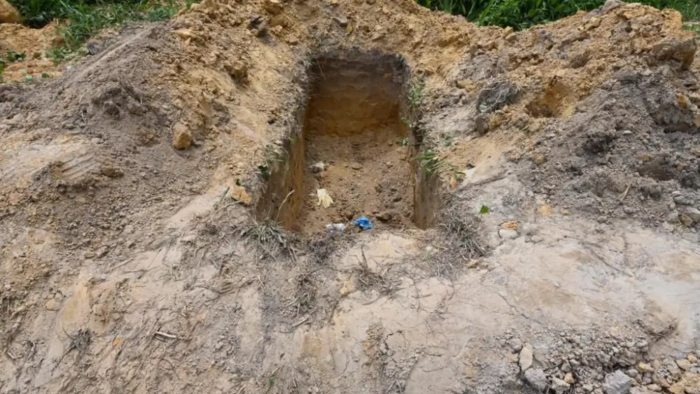 17766143074289510239