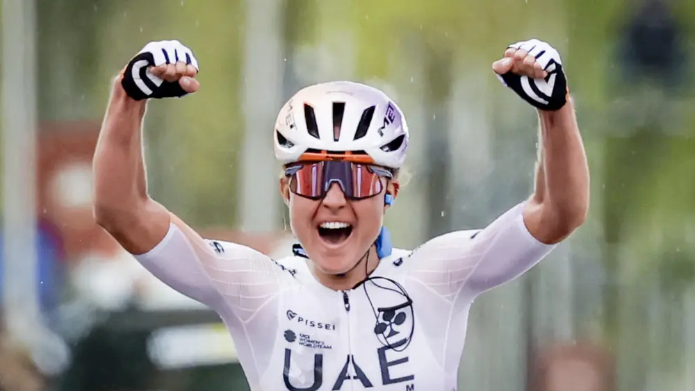 17766230196286180565