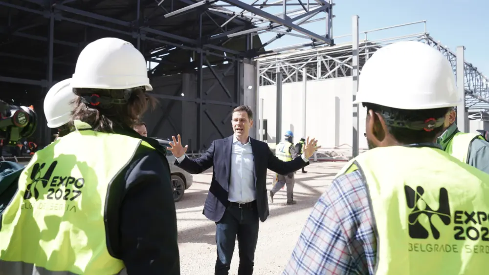 17748784652146210310