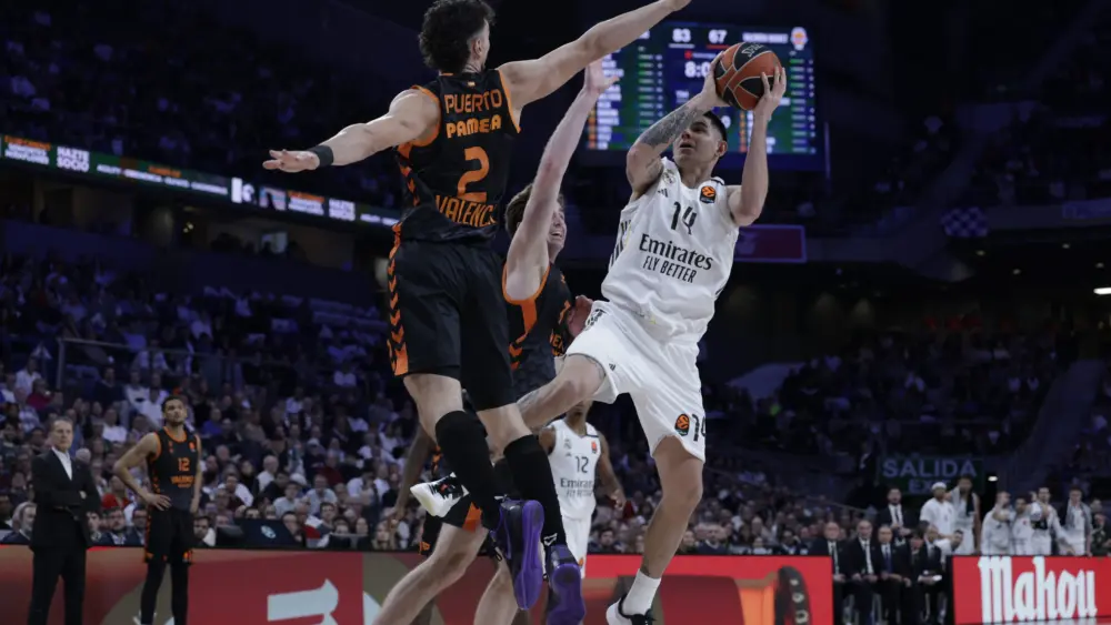 17769454042234410252