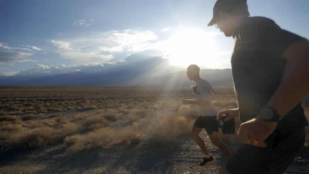 17766114083595128744