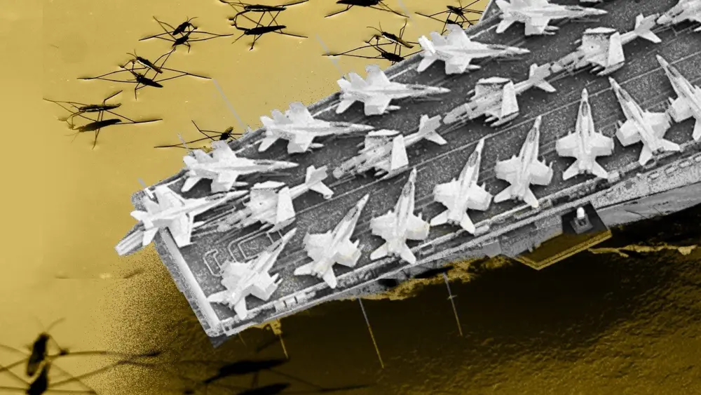 17771187018657752486