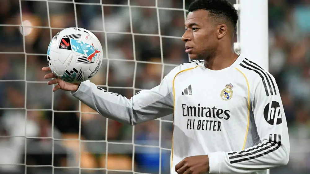 17772891444302453026