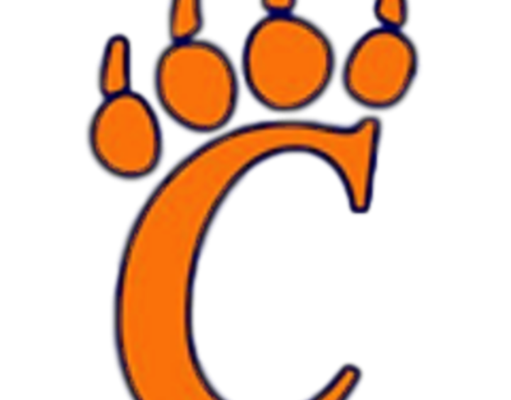 carterville-lions