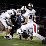 Photos courtesy Ryan Zeigler/Field Focus
