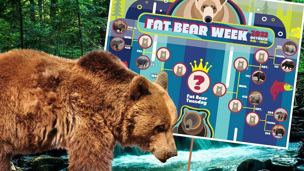 attachment-courier-prime-66