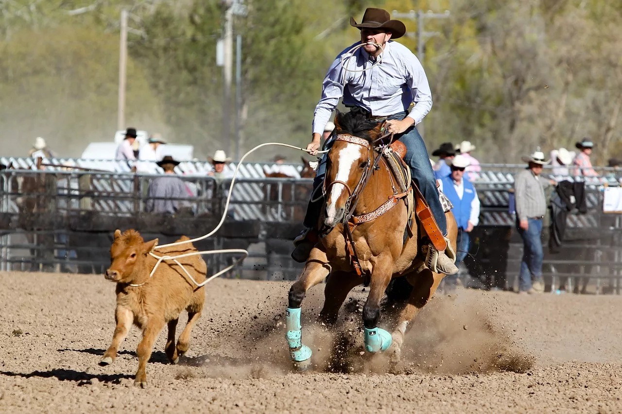 rodeo-3578531_1280