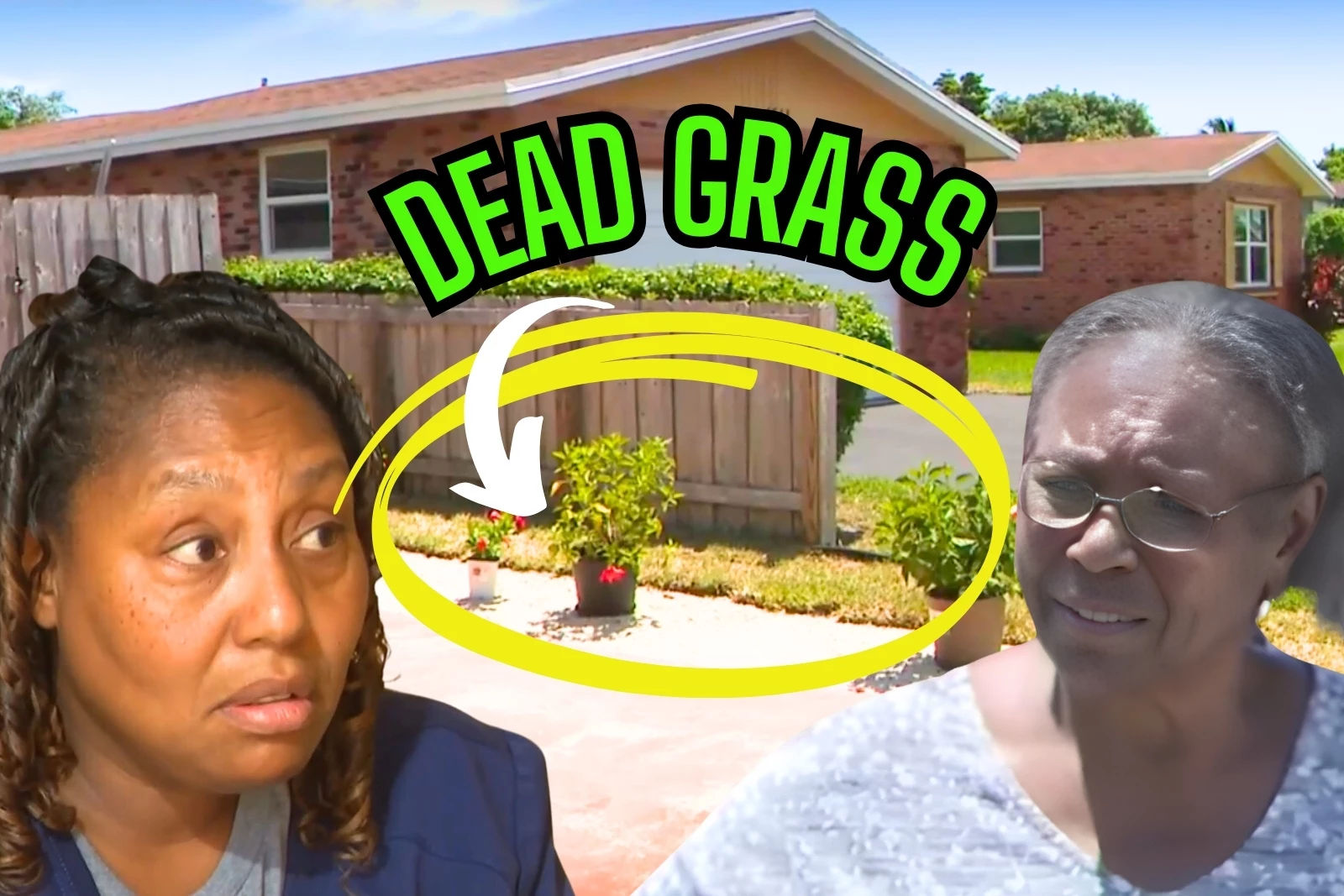 attachment-dead-grass