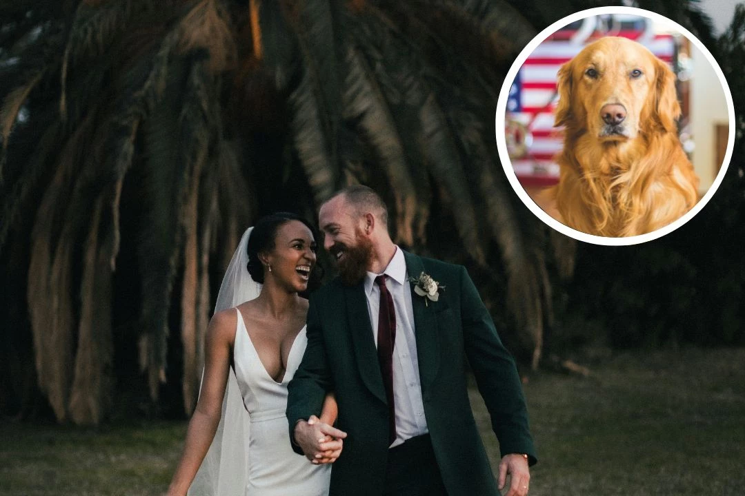 attachment-bride-refuses-dog-at-wedding