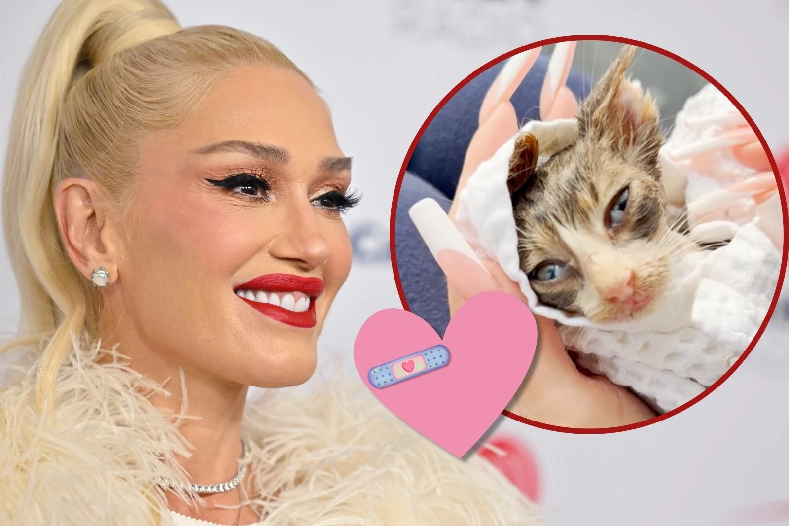 attachment-gwen-stefani-kitten