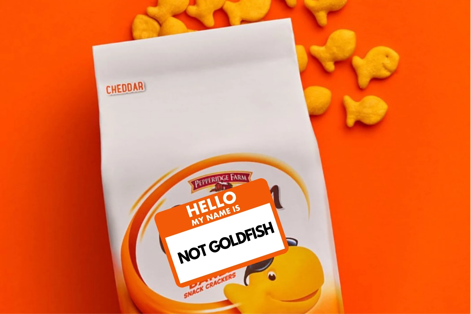 attachment-not-goldfish
