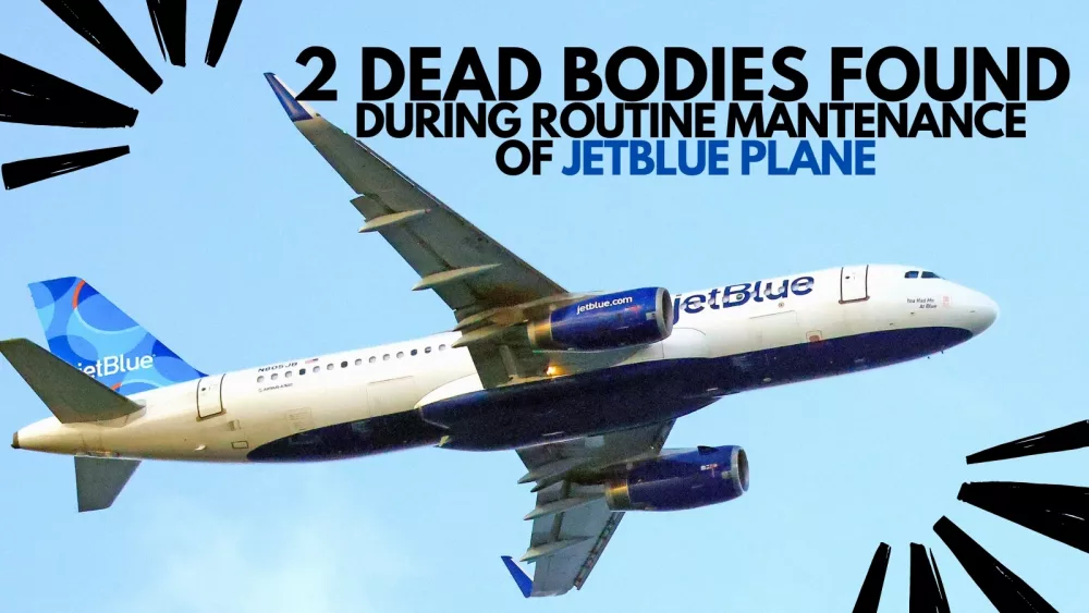 attachment-2-dead-bodies-found-during-routine