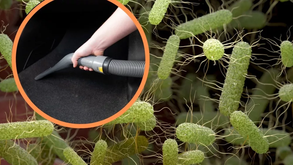 attachment-untitled-design-2025-01-22t120050-695