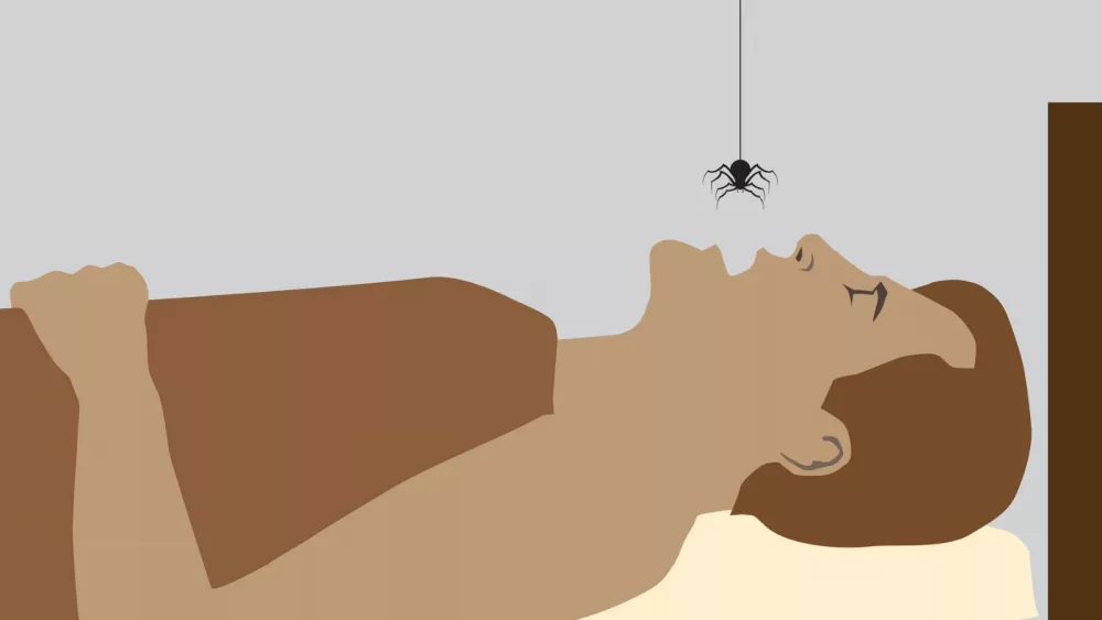 attachment-untitled-design-2025-01-22t141636-705