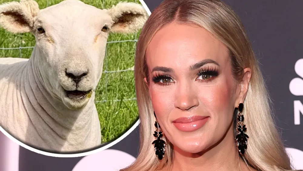 attachment-underwood-sheep-gary-haircut