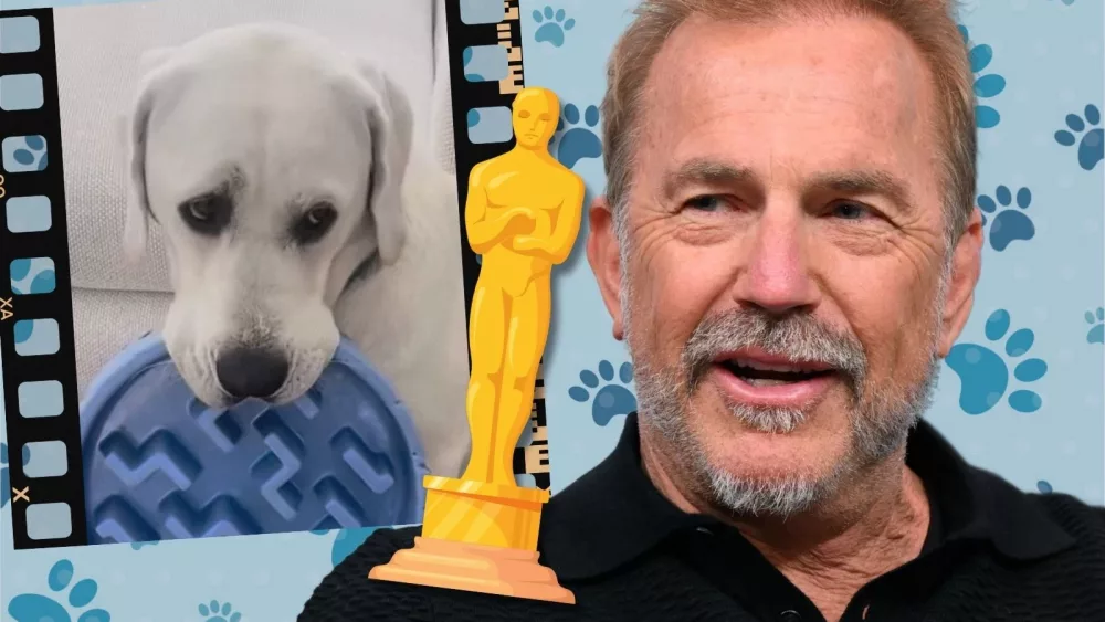 attachment-kevin-costner-dog
