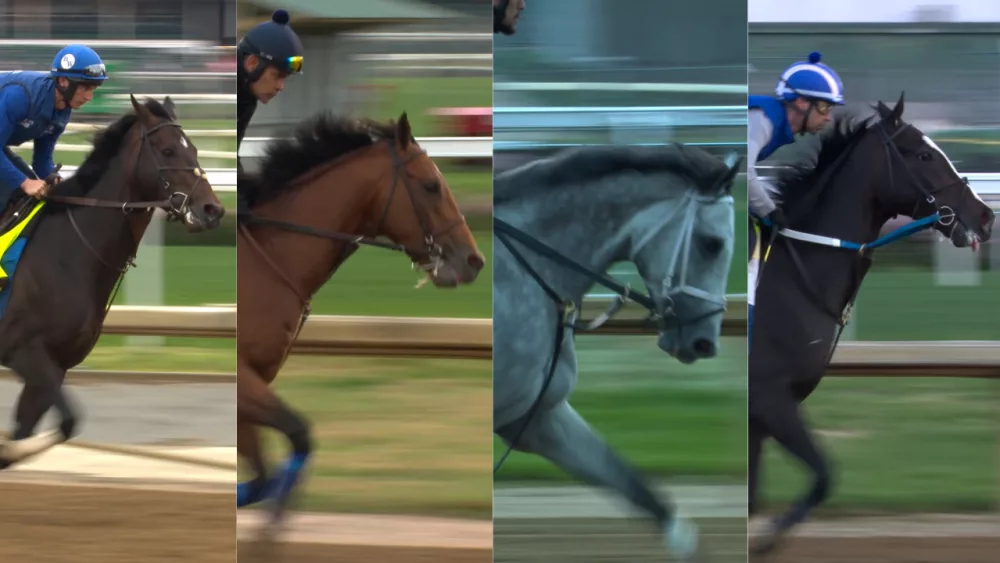 horses-6810d01a15ec2321496