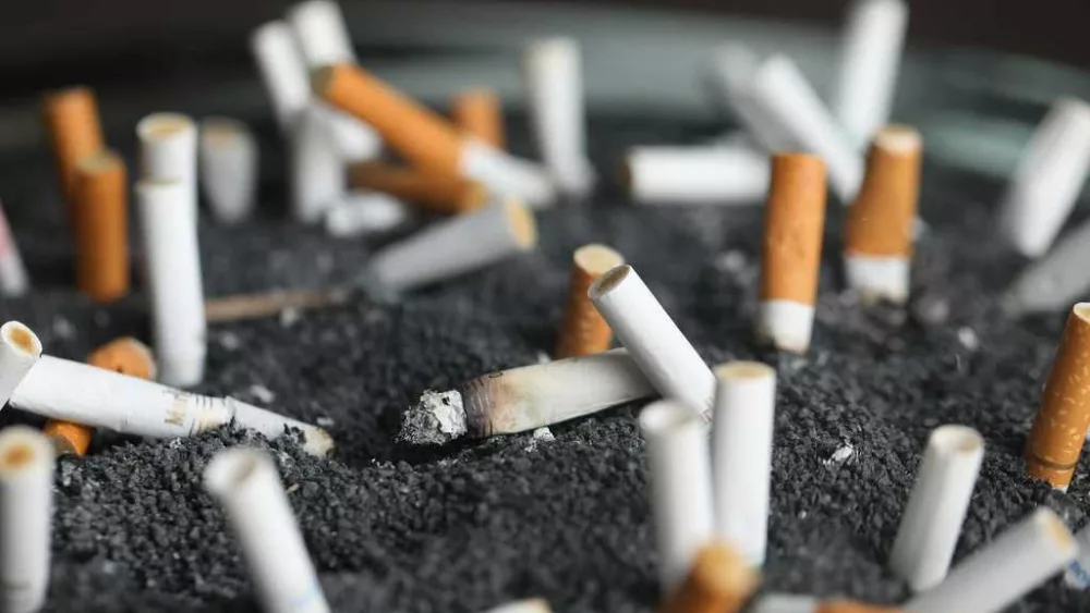 cig-681d819e3dc61946120