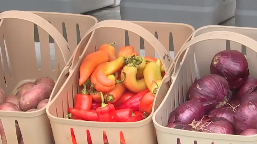 produce-png-1658180700524304
