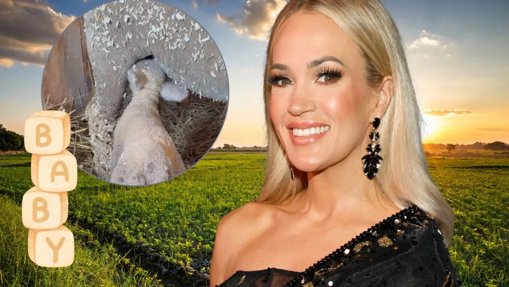 attachment-carrieunderwood1-8