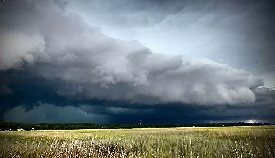 shelf-cloud-jennifer-68366ca1716ca