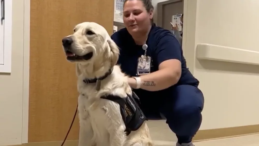 dog-683d039b373d1838555