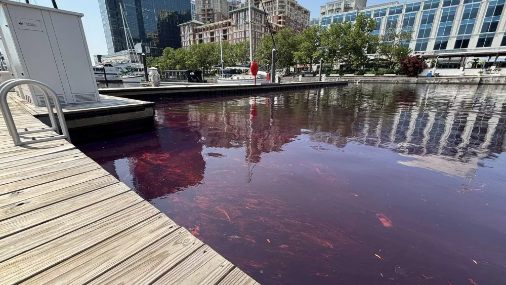 fells-point-oil-spill-6840b2912872a723162