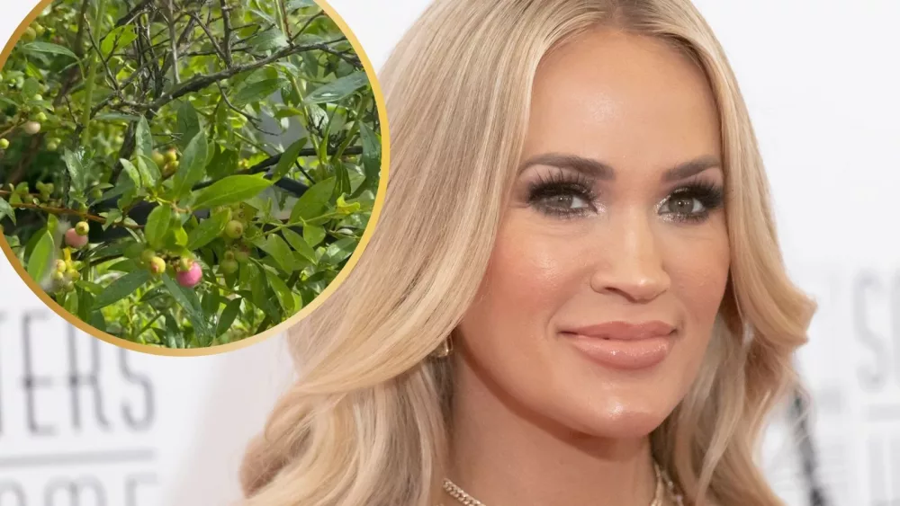 attachment-carrieunderwood-14