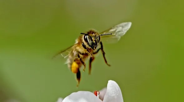 bee1-684fd4bab3cc6