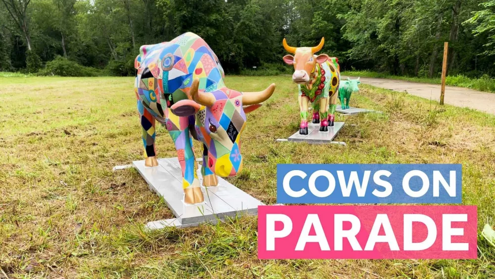 cow-parade-web-image-685d6a4ea2eab485388