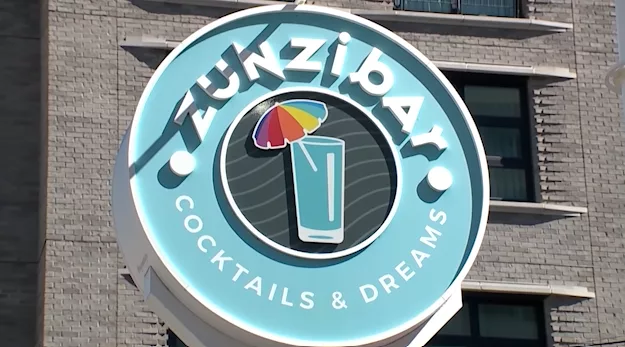 zunziba-67d40ec9ce7fc308520