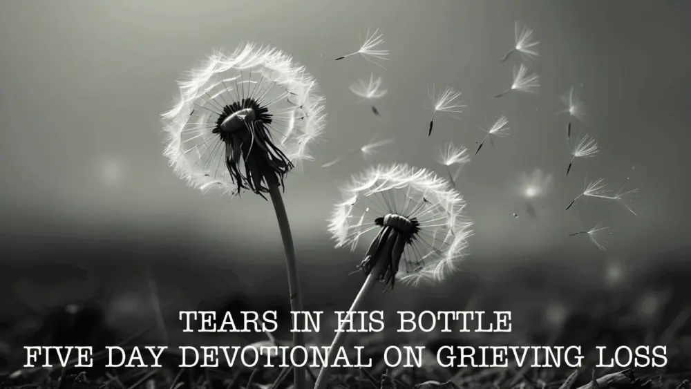 tears-in-his-bottle-1