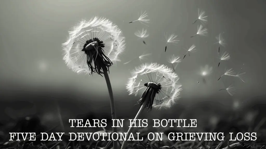 tears-in-his-bottle-1
