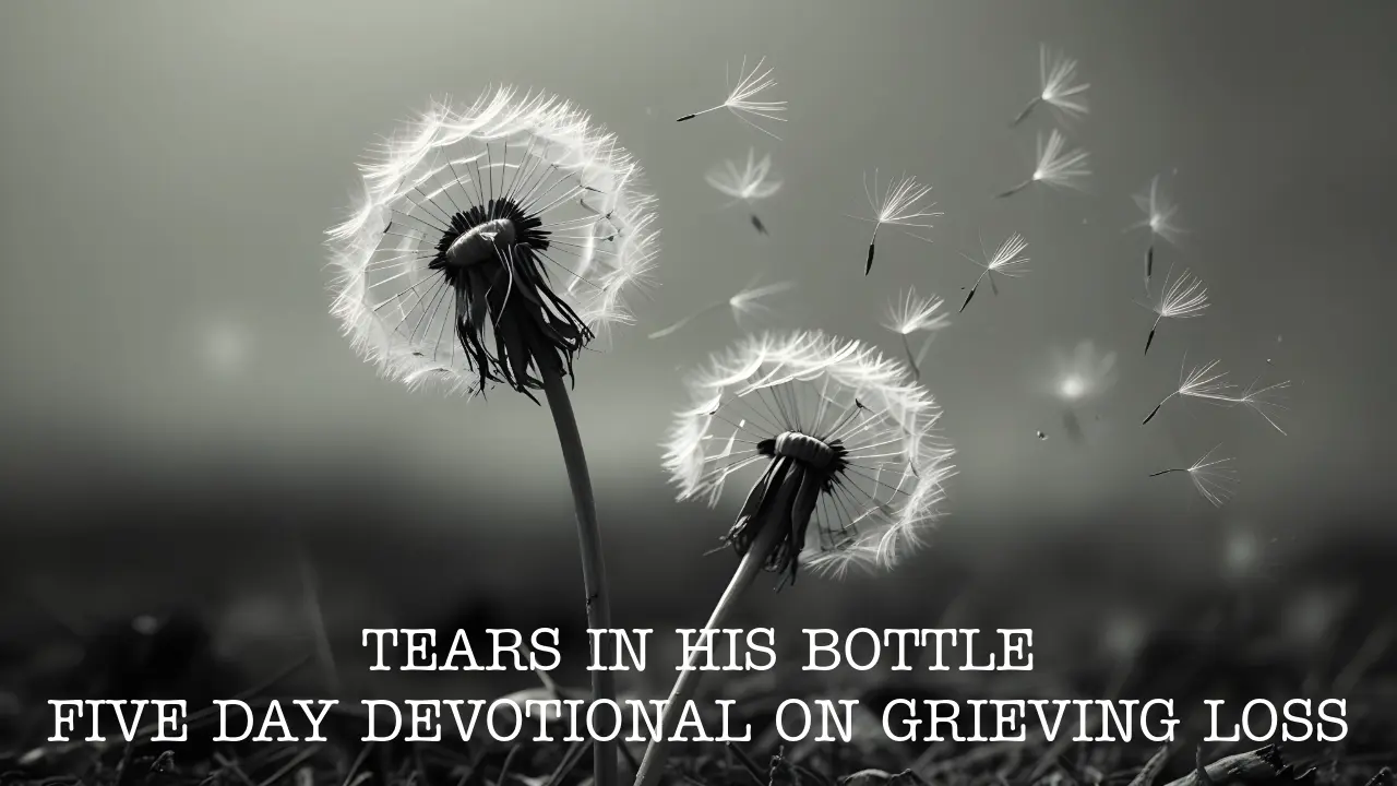 tears-in-his-bottle-1