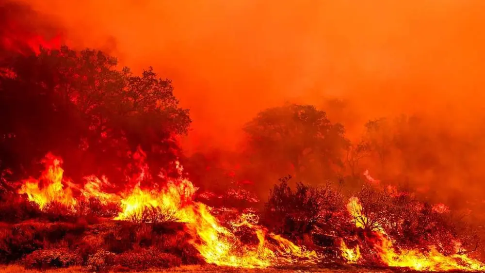 gettyimages-2227748326-689201cec9c85532718