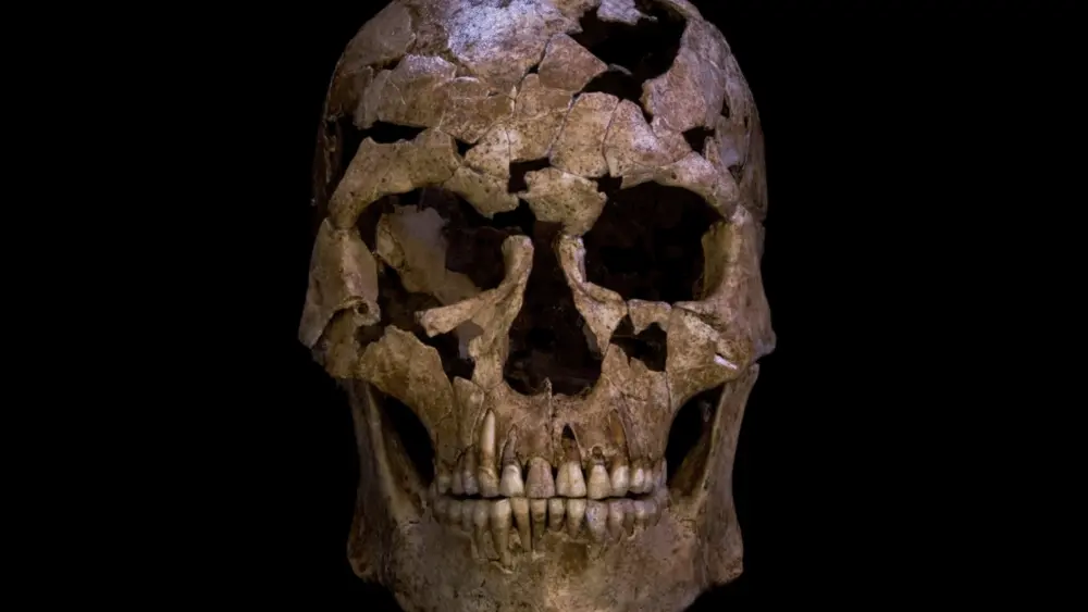 skull-68b522e800b2a22428