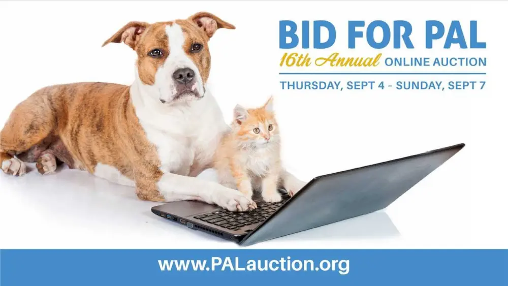 pal-online-auction-68b9d8fa30e2d524561