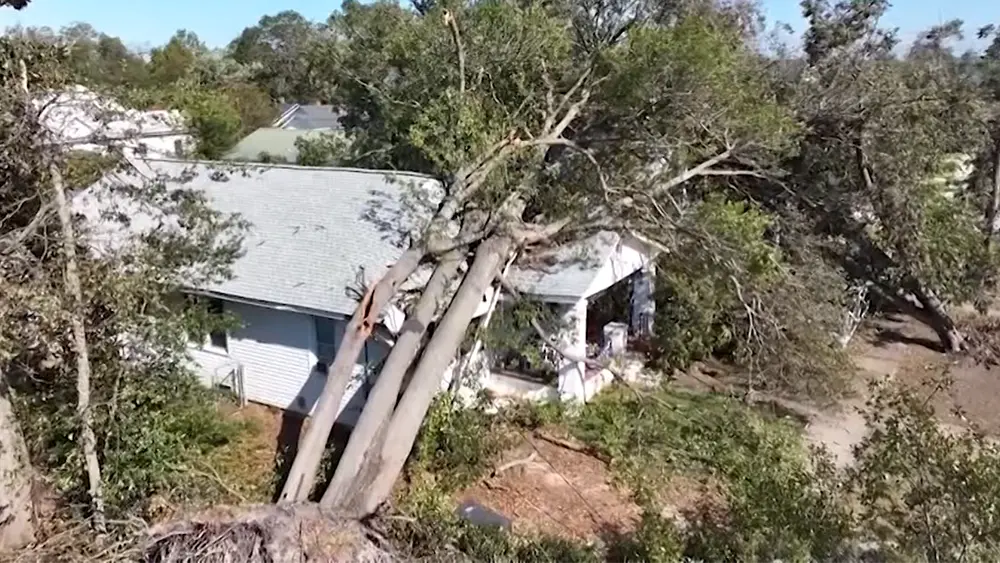tree-down-68d688206d502376979