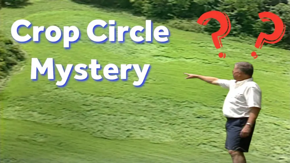 crop-circles-thumbfinal-68d69591642bc992652