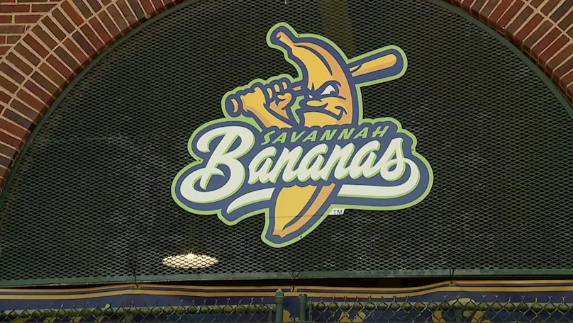 bananas-can-delete-png-1676334035691688