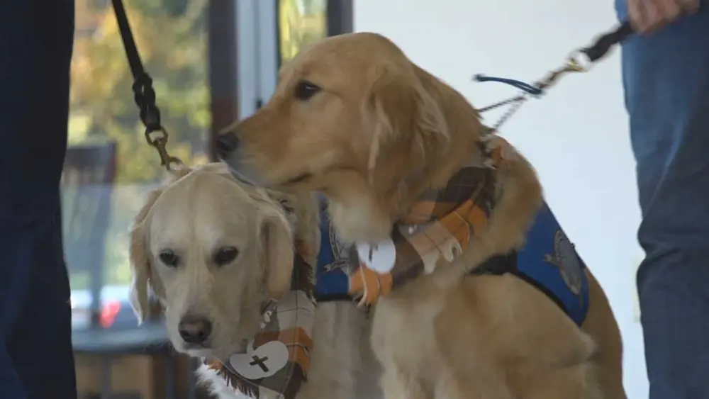 wishtherapydogsmichurchattack101525-jpg-68f662c74ca1196445