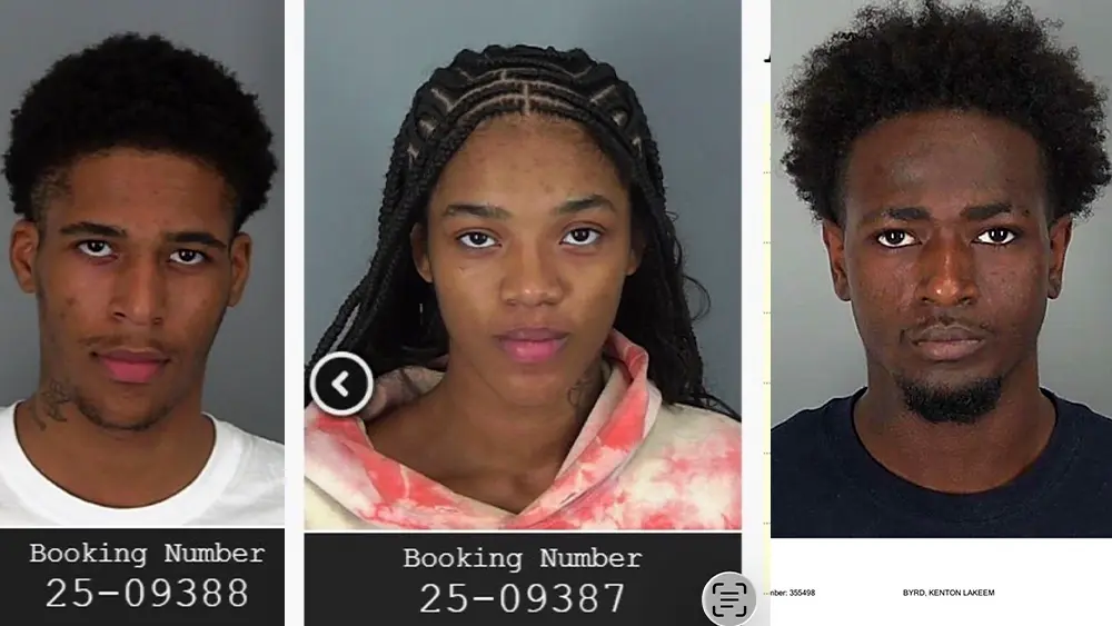 murder-68f8cf48a4faf556537