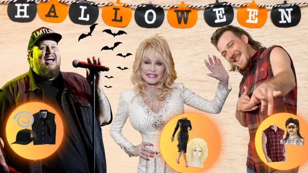 attachment-country-artist-halloween-costumes-2