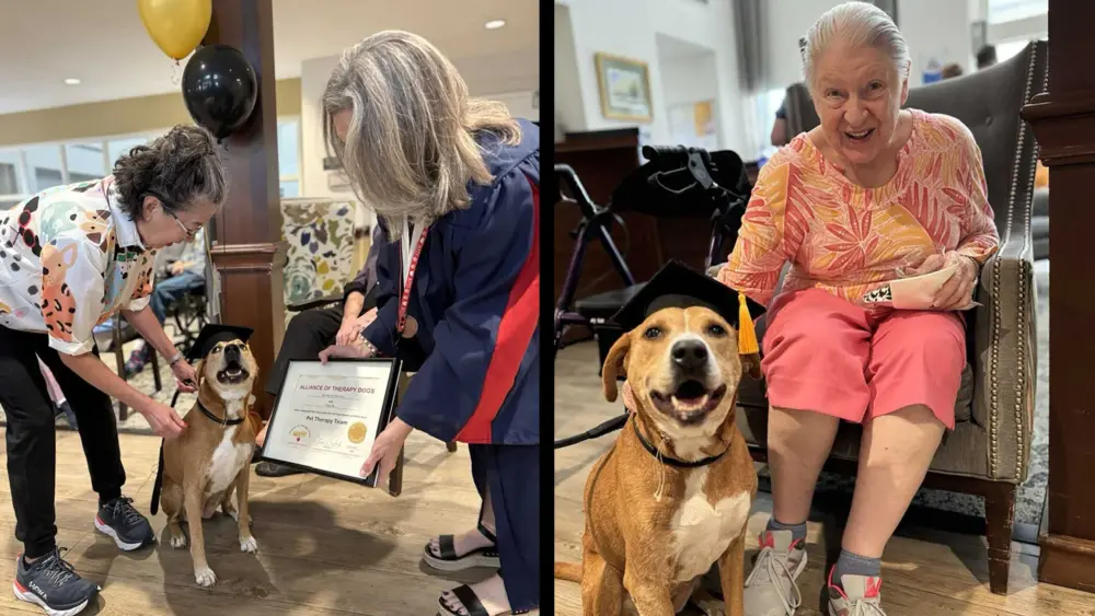 ridgeland-place-therapy-dog-68fa26642fc9e84017