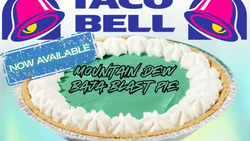 attachment-your-paragraph-text-29