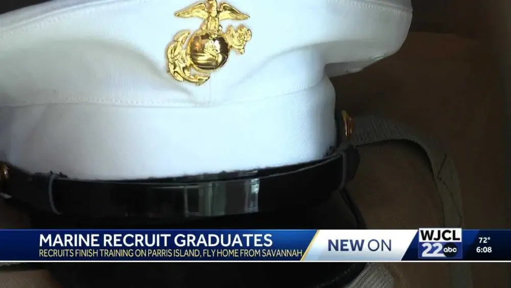 1e1c57d3-cdf6-4ad5-9441-67bab456bcb3980455