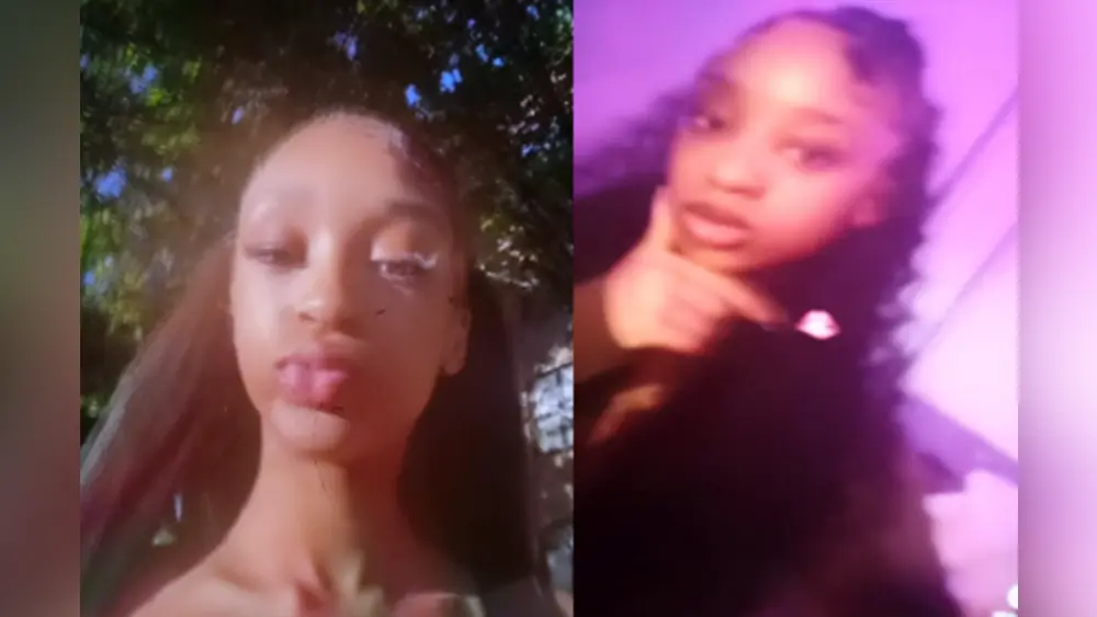 calaya-brown-6915dd514cdd46478