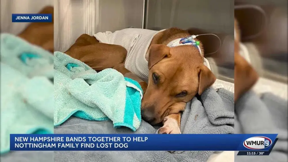 d840b8b4-950f-4de2-8346-833997219d2a165088