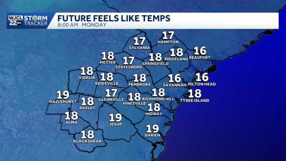 tropical-jpg-693eabb15b27c