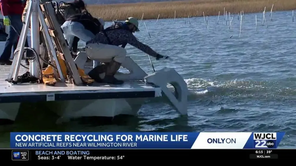 2e5c9998-8367-43a6-8d3a-6bb8d93bbf84781923